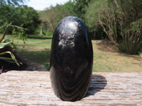 Polished Schorl Black Tourmaline Standing Free Form x 1 From Madagascar - TopRock