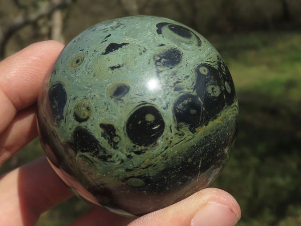 Polished Stromatolite / Kambamba Jasper Spheres  x 2 From Katsepy, Madagascar - TopRock