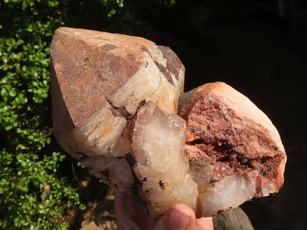Natural Large Blacknite Quartz Crystal  x 1 From Ambositra, Madagascar
