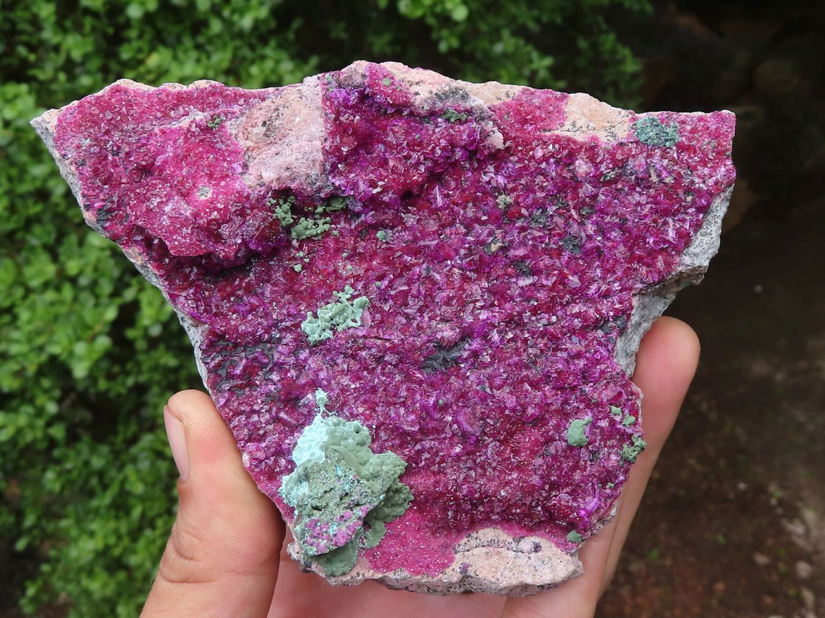 Polished Gemmy Larger Rose Quartz Hearts x 6 From Ambatondrazaka, Madagascar - TopRock