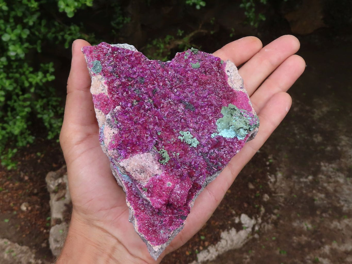 Polished Gemmy Larger Rose Quartz Hearts x 6 From Ambatondrazaka, Madagascar - TopRock