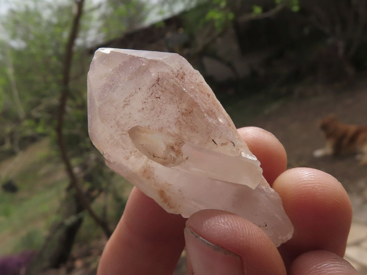 Natural Single Pineapple Quartz Crystals x 63 From Madagascar - TopRock