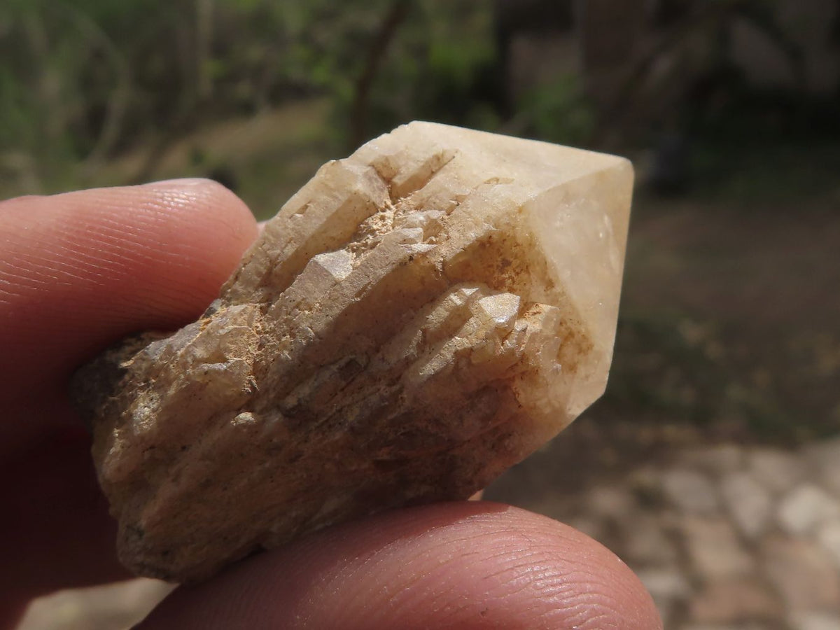Natural Single Pineapple Quartz Crystals x 63 From Madagascar - TopRock