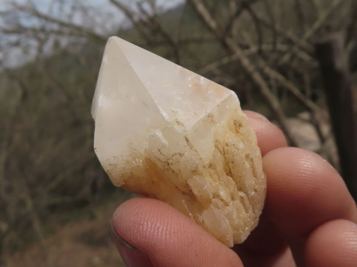 Natural Single Pineapple Quartz Crystals x 63 From Madagascar - TopRock