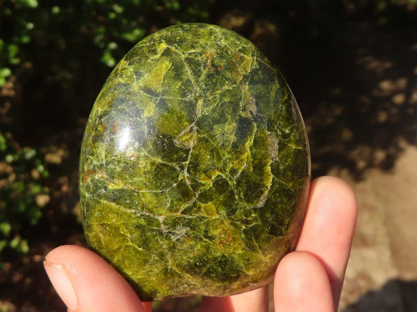 Polished Green Opal Standing Free Forms  x 4 From Madagascar - Toprock Gemstones and Minerals 