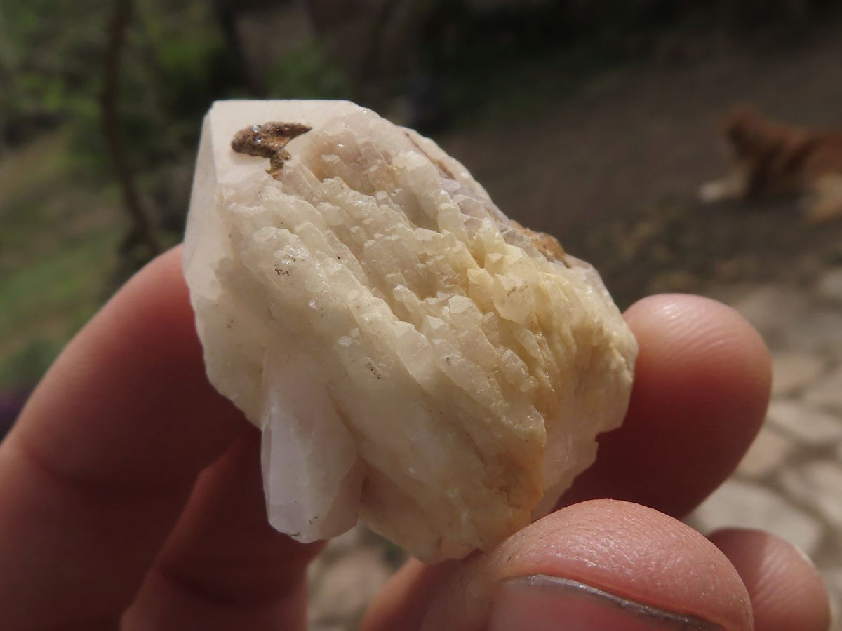 Natural Single Pineapple Quartz Crystals x 63 From Madagascar - TopRock
