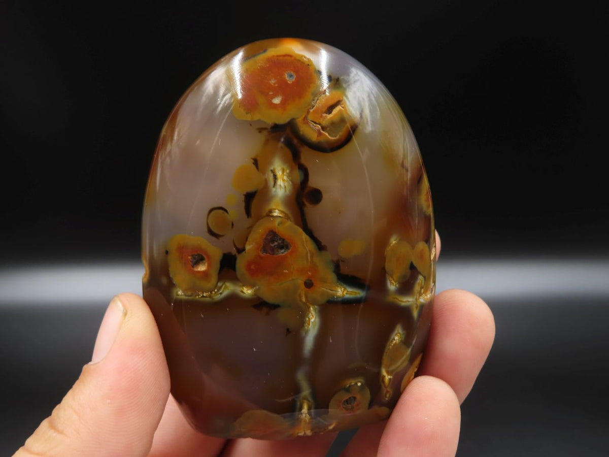 Polished Mixed Malagasy Minerals x 6 From Madagascar - TopRock