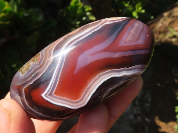 Polished Red River Agate Palm Stones  x 6 From Zimbabwe