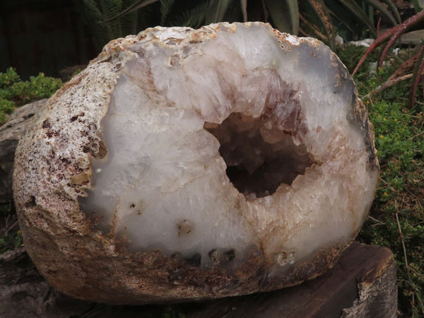 Polished Killer XXXL Agate Geode Display Piece  x 1 From Madagascar - TopRock