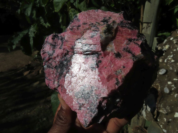 Natural Cobbed Rhodonite Pieces x 2 From Zimbabwe - TopRock