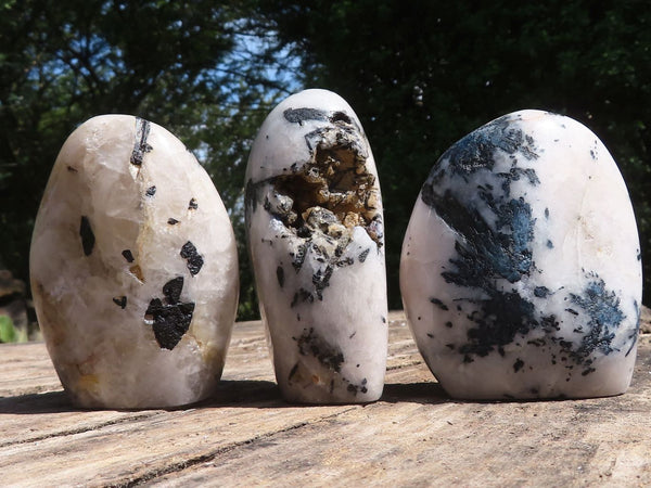 Polished Tourmalinated Quartz Standing Free Forms  x 3 From Namibia - TopRock
