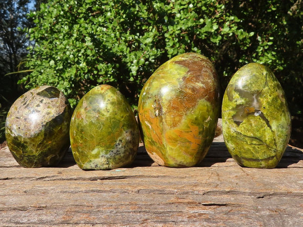 Polished Green Opal Standing Free Forms  x 5 From Madagascar - Toprock Gemstones and Minerals 