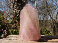 Polished Gemmy Rose Quartz Points x 3 From Madagascar - Toprock Gemstones and Minerals