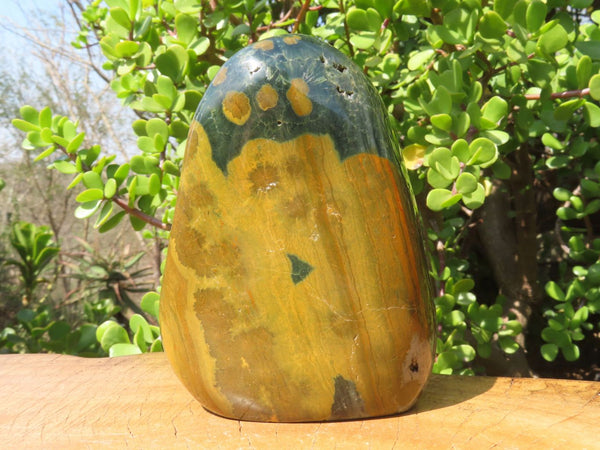 Polished Ocean Jasper Standing Free Form x 1 From Madagascar - TopRock