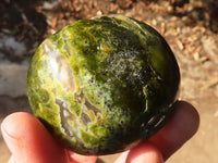 Polished Green Opal Galet / Palm Stones x 12 From Antsirabe, Madagascar - Toprock Gemstones and Minerals