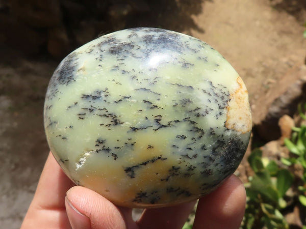 Polished Dendritic Opal Palm Stones  x 6 From Madagascar - TopRock