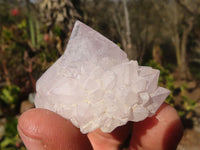 Natural Small White spirit / Cactus Flower Quartz Crystals x 35 From Boekenhouthoek, South Africa - Toprock Gemstones and Minerals
