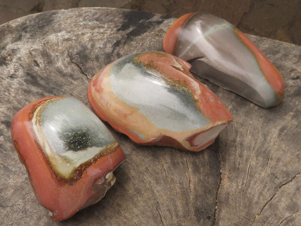 Polished One Side Polished Polychrome / Picasso Jasper Free Forms  x 7 From Madagascar - TopRock