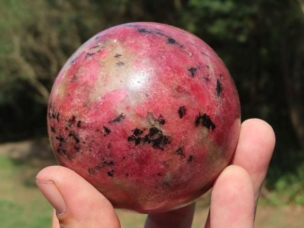 Polished Red Rhodonite Spheres x 2 From Zimbabwe - TopRock