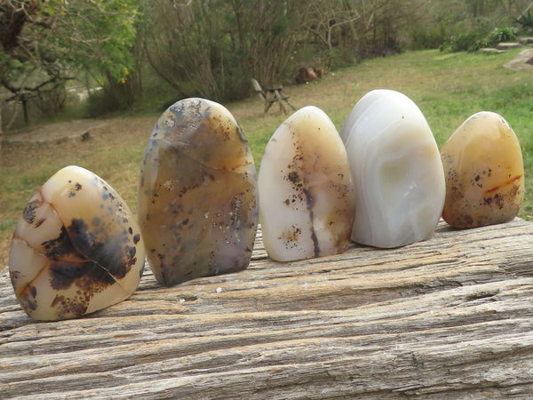 Polished Banded & Dendritic Agate Standing Free Forms  x 5 From Madagascar - TopRock
