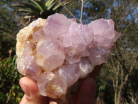 Natural Spirit Amethyst Quartz Clusters  x 3 From Boekenhouthoek, South Africa - Toprock Gemstones and Minerals