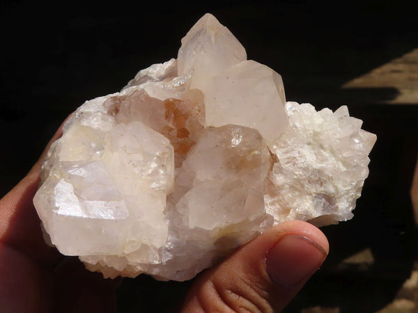 Natural White Spirit Cactus Quartz Clusters  x 6 From Boekenhouthoek, South Africa - Toprock Gemstones and Minerals 