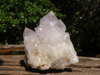 Natural White Spirit Cactus Quartz Clusters  x 6 From Boekenhouthoek, South Africa - Toprock Gemstones and Minerals