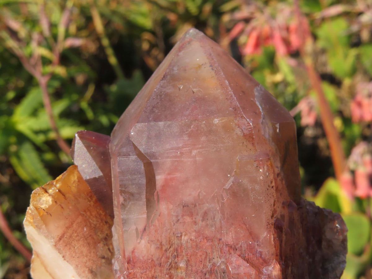 Natural Red Hematoid Quartz Clusters x 2 From Karoi, Zimbabwe - TopRock