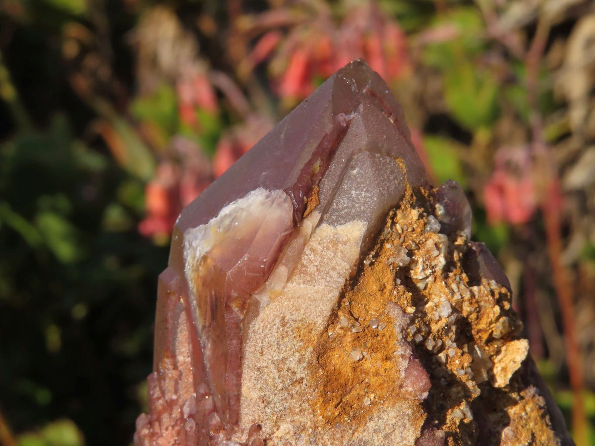 Natural Red Hematoid Quartz Clusters x 2 From Karoi, Zimbabwe - TopRock