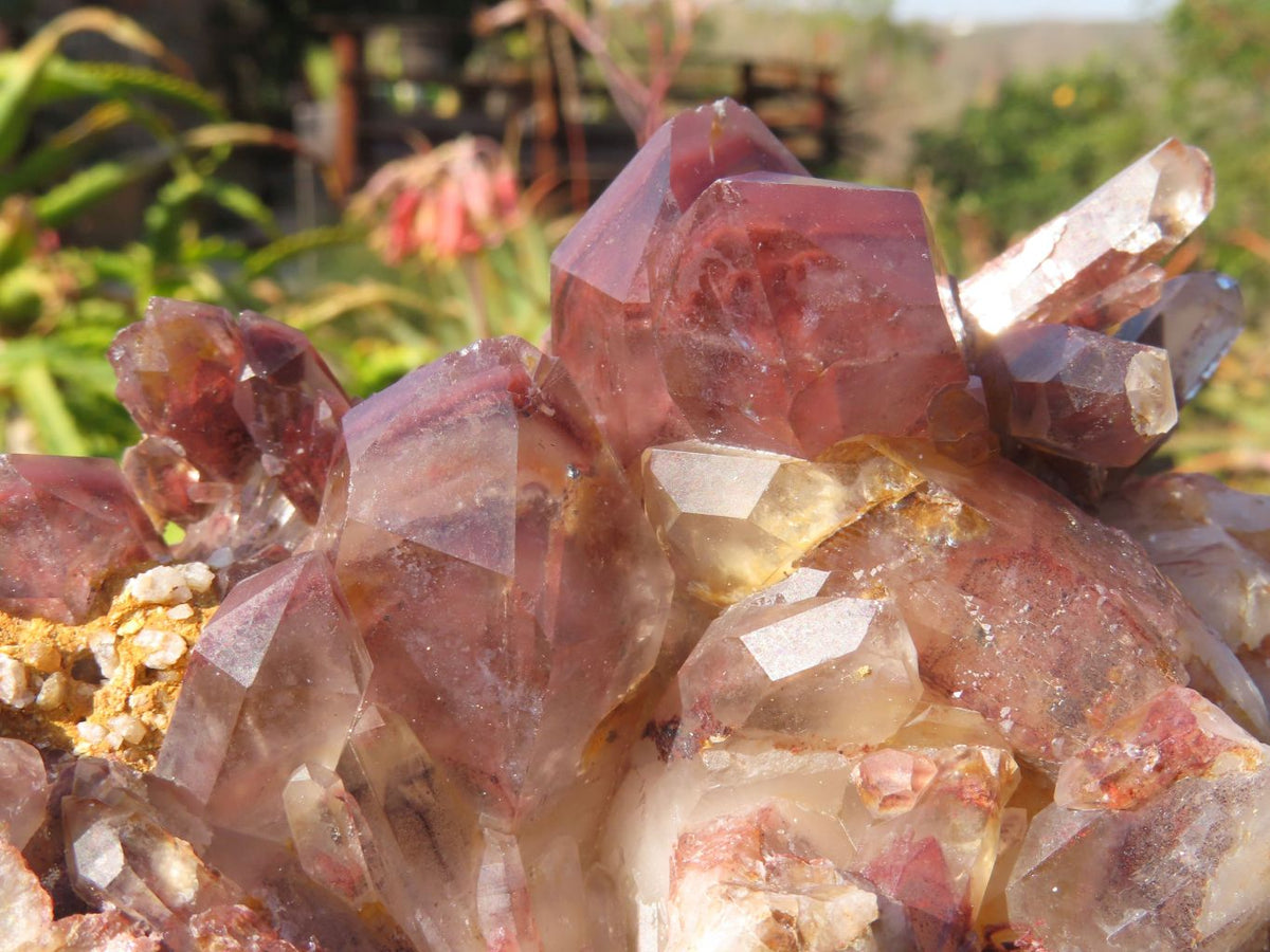 Natural Red Hematoid Quartz Clusters x 2 From Karoi, Zimbabwe - TopRock