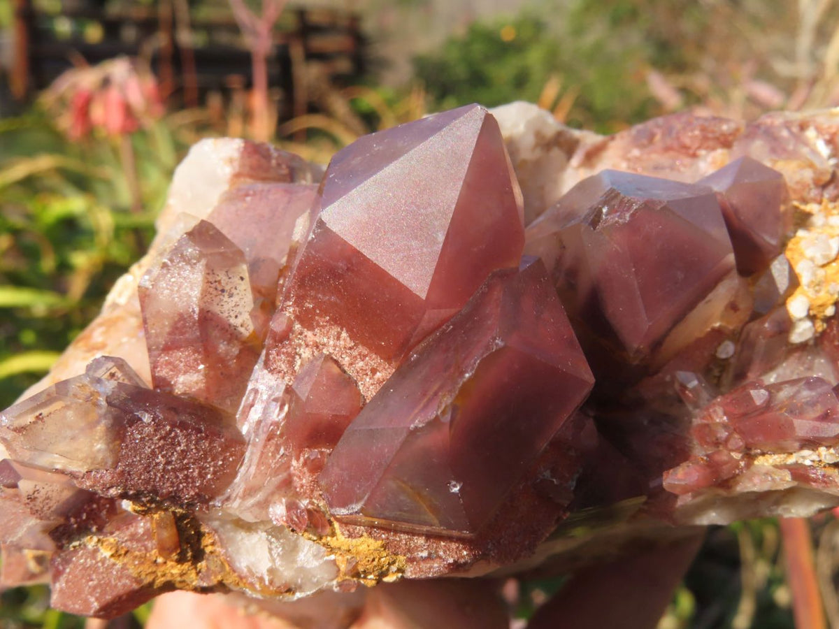 Natural Red Hematoid Quartz Clusters x 2 From Karoi, Zimbabwe - TopRock