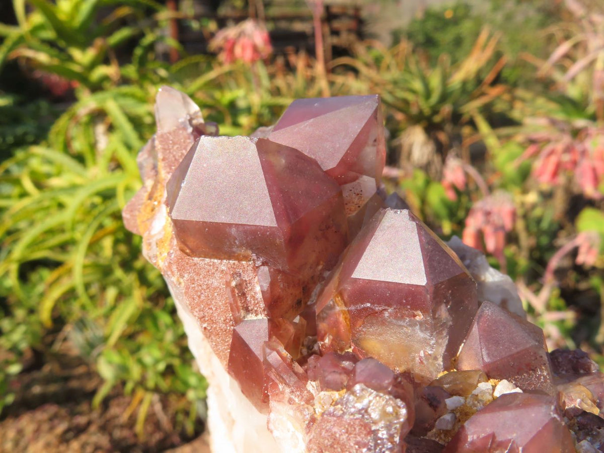 Natural Red Hematoid Quartz Clusters x 2 From Karoi, Zimbabwe - TopRock