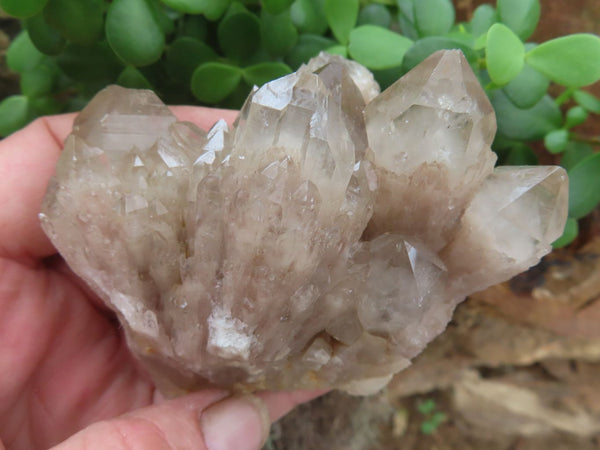 Natural Clear Cascading White Phantom Quartz Clusters  x 3 From Luena, Congo - Toprock Gemstones and Minerals 