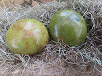 Polished Green Opal Palm Stones  x 12 From Madagascar - Toprock Gemstones and Minerals