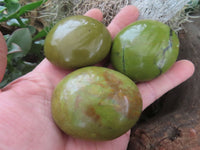 Polished Green Opal Palm Stones  x 12 From Madagascar - Toprock Gemstones and Minerals