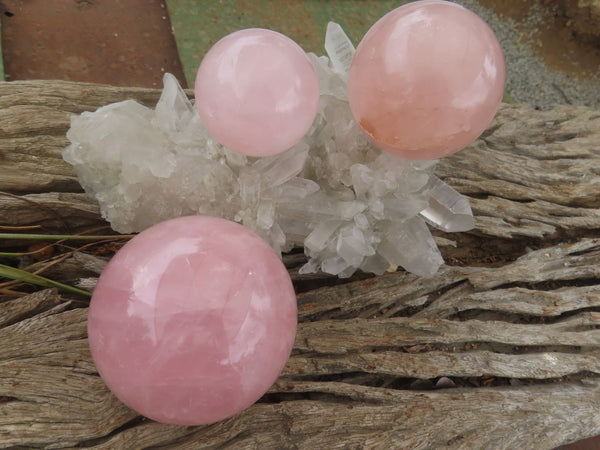 Polished Star Rose Quartz Spheres  x 3 From Madagascar - Toprock Gemstones and Minerals 