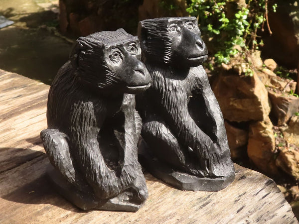 Polished  Black Soap Stone Baboons - Medium - Sold per piece - From Zimbabwe - TopRock