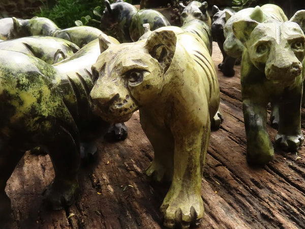 Polished  Leopard Stone Lioness - Medium - Sold per piece - From Zimbabwe - TopRock