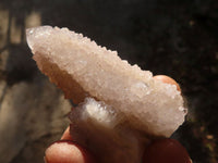 Natural Long Fingered Spirit Quartz Crystals x 35 From Boekenhouthoek, South Africa - Toprock Gemstones and Minerals