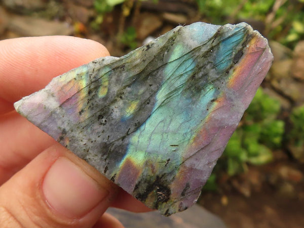 Polished Small One Side Polished Purple Labradorite Slices  x 24 From Tulear, Madagascar - Toprock Gemstones and Minerals 