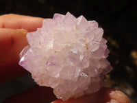 Natural Long Fingered Spirit Quartz Crystals x 35 From Boekenhouthoek, South Africa - Toprock Gemstones and Minerals