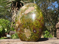 Polished Large Green Opal Standing Free Form  x 1 From Madagascar - Toprock Gemstones and Minerals