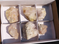 Natural White Cactus Flower Spirit Quartz Specimens x 6 From Boekenhouthoek, South Africa - Toprock Gemstones and Minerals