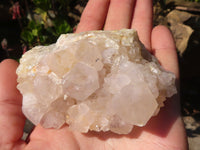 Natural White Cactus Flower Spirit Quartz Specimens x 6 From Boekenhouthoek, South Africa - Toprock Gemstones and Minerals