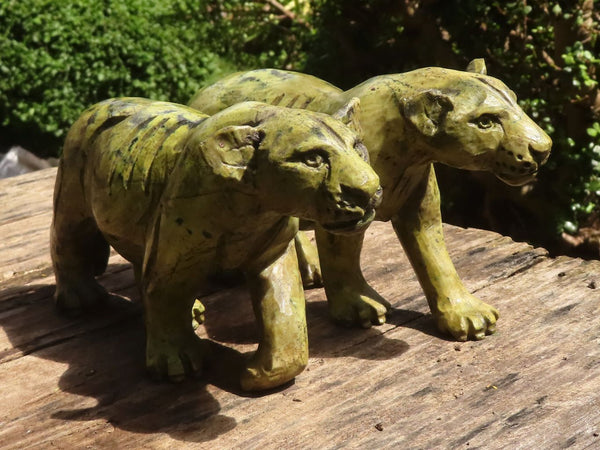 Polished  Leopard Stone Lioness - Large - Sold per piece - From Zimbabwe - TopRock