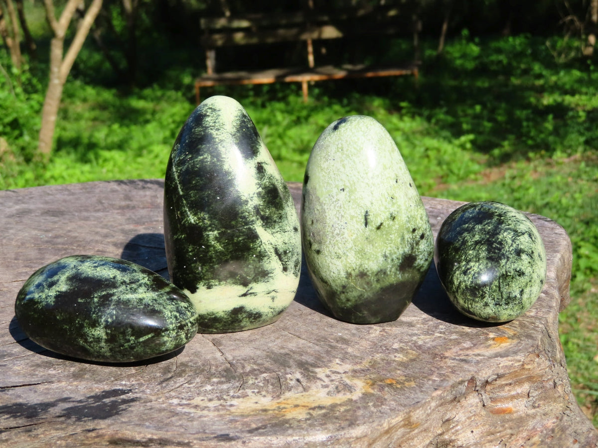 Polished Leopard Stone Free Forms x 4 From Zimbabwe - TopRock