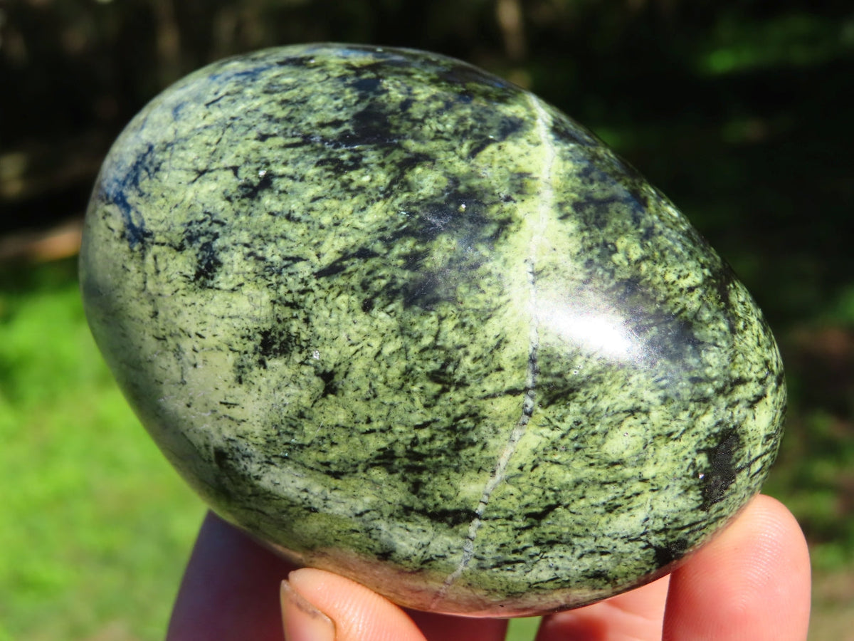 Polished Leopard Stone Free Forms x 4 From Zimbabwe - TopRock