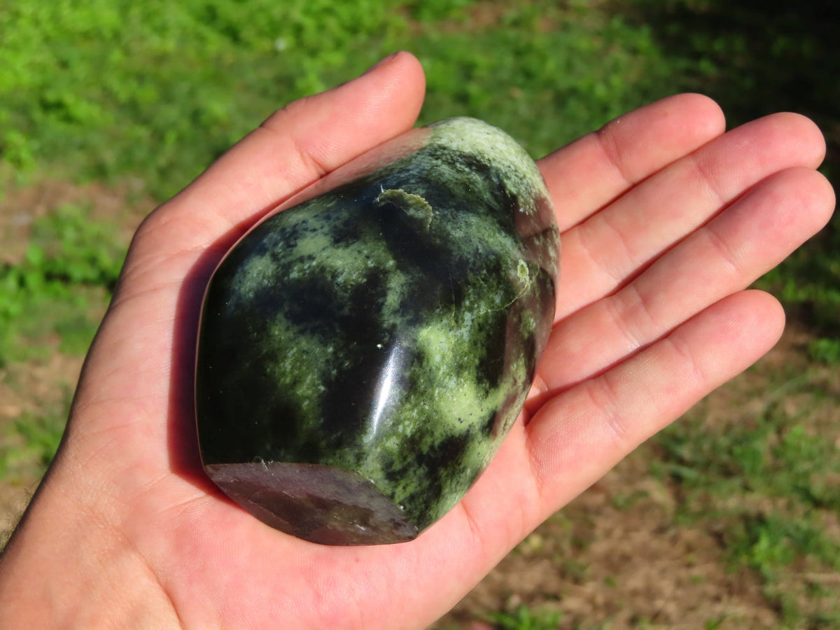 Polished Leopard Stone Free Forms x 4 From Zimbabwe - TopRock