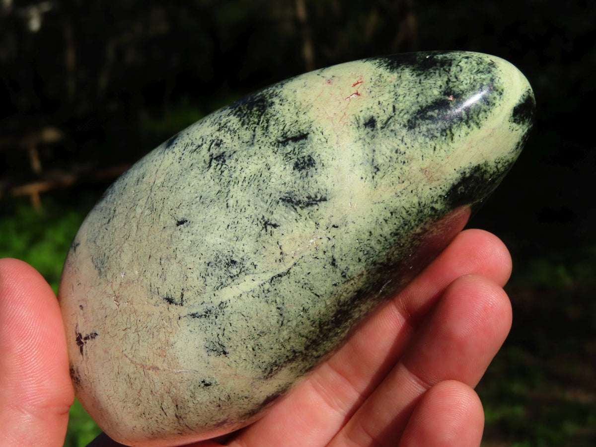 Polished Leopard Stone Free Forms x 4 From Zimbabwe - TopRock