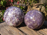 Polished  Purple Lepidolite Spheres With Pink Tourmaline On Some  x 3 From Madagascar - Toprock Gemstones and Minerals